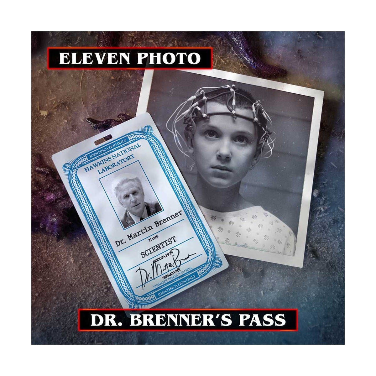 Dottore Collezionista - Kit Ricordi di Stranger Things Hawkins Corso di Vecna Edizione Limitata