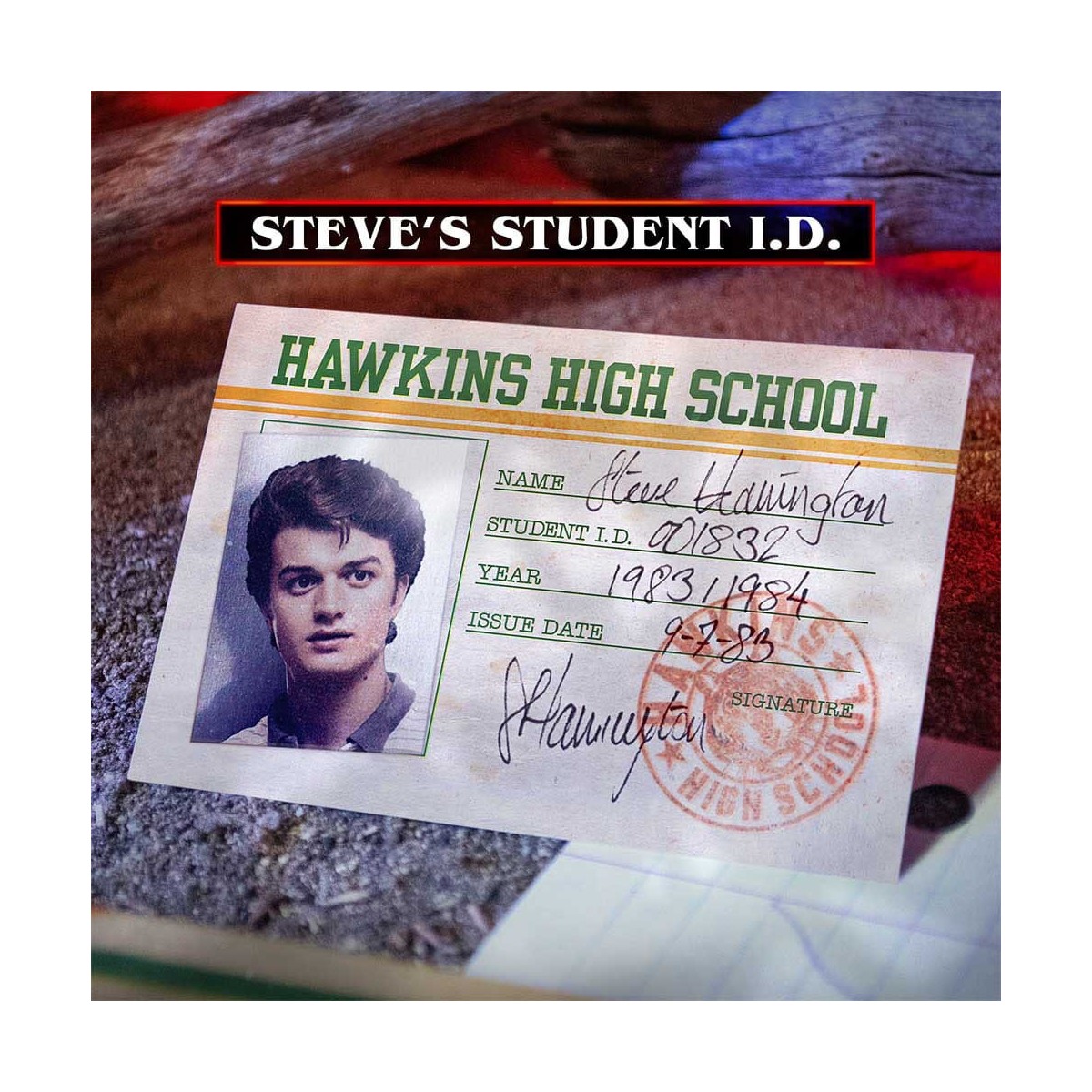Dottore Collezionista - Kit Ricordi di Stranger Things Hawkins Corso di Vecna Edizione Limitata