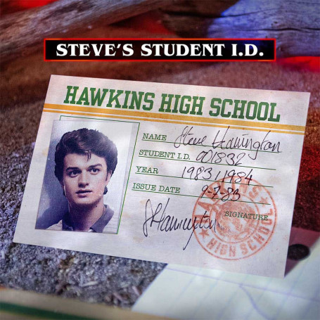 Dottore Collezionista - Kit Ricordi di Stranger Things Hawkins Corso di Vecna Edizione Limitata