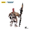 JoyToy Space Marines - Adeptus Custodes Solar Watch - Guardia Custode con Lancia del Guardiano 1/18 - Warhammer 40K