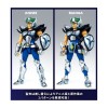 Bandai Saint Seiya MYTH CLOTH Balena Moses - Balena Moses