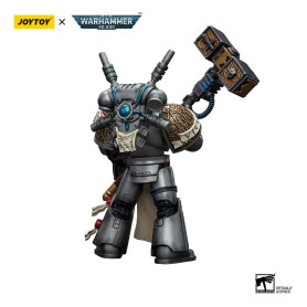 JoyToy Space marines - Cavalieri Grigi - Squadra intercettori Justicar 1/18 - Warhammer 40K
