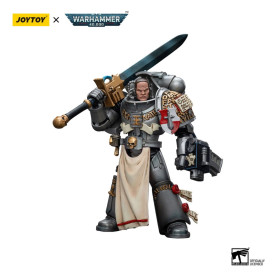 JoyToy Space marines - Cavalieri Grigi - Squadra d'assalto Justicar 1/18 - Warhammer 40K
