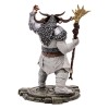 Mc Farlane Blizzard - Diablo IV - Druido versione epica