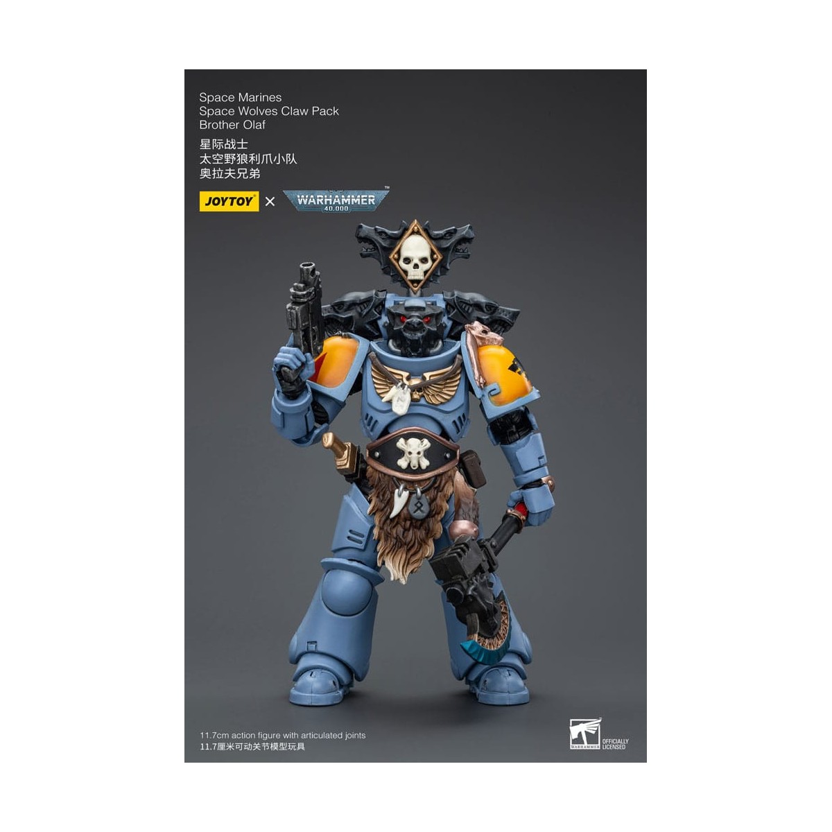 JoyToy Space Marine - Lupi Spaziali - Pacchetto Artiglio Fratello Olaf 1/18 - Warhammer 40K