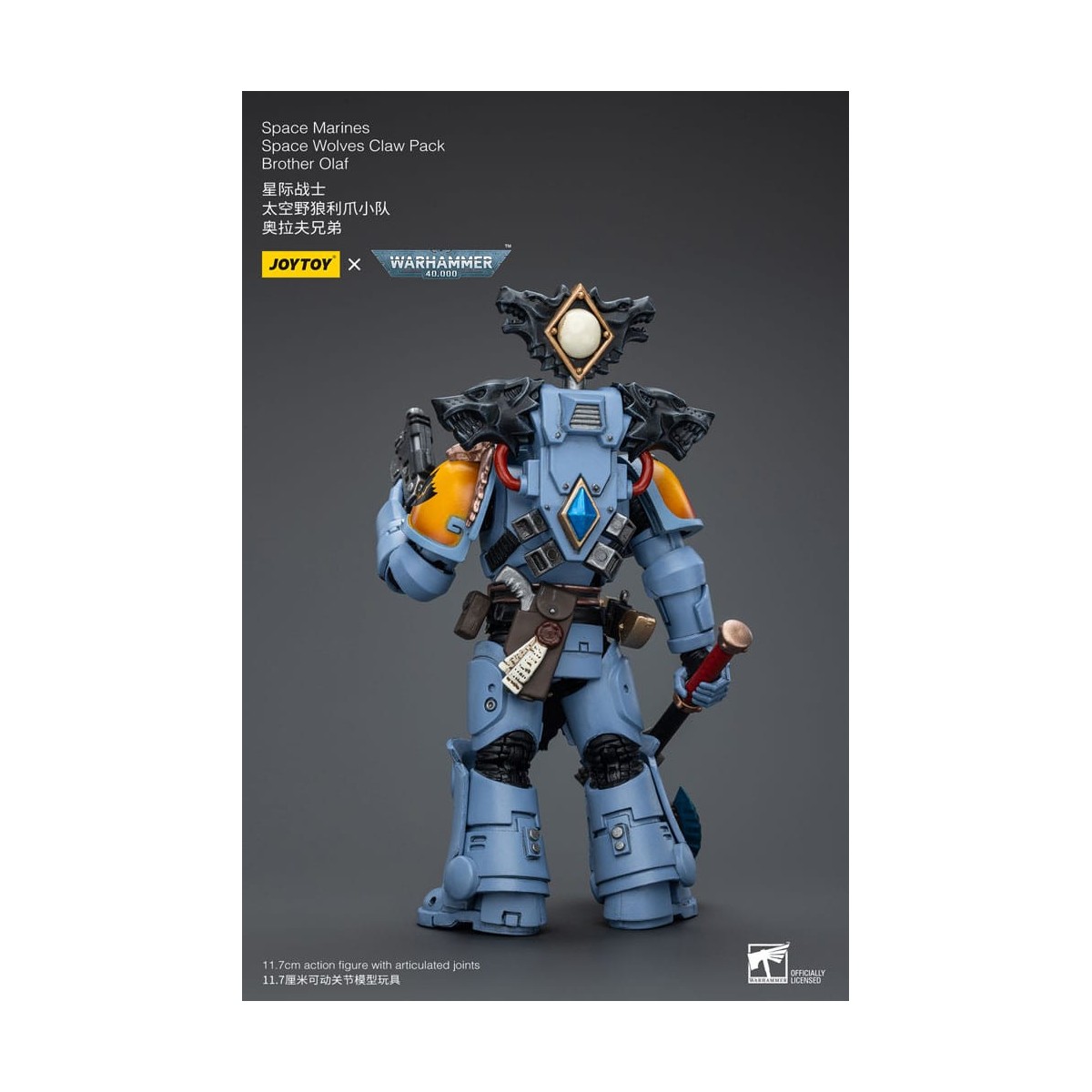JoyToy Space Marine - Lupi Spaziali - Pacchetto Artiglio Fratello Olaf 1/18 - Warhammer 40K