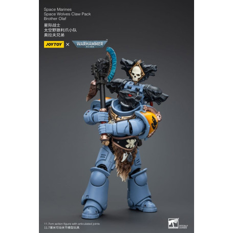 JoyToy Space Marine - Lupi Spaziali - Pacchetto Artiglio Fratello Olaf 1/18 - Warhammer 40K