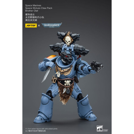 JoyToy Space Marine - Lupi Spaziali - Pacchetto Artiglio Fratello Olaf 1/18 - Warhammer 40K