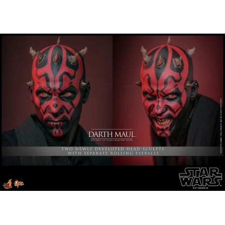 Hot Toys Star Wars La minaccia fantasma - Darth Maul 2.0 Edizione da collezione MMS 1/6