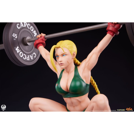 PCS - Street Fighter - Cammy: sollevamento pesi 1/4
