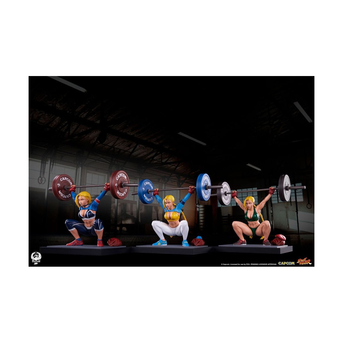 PCS - Street Fighter - Cammy: sollevamento pesi 1/4