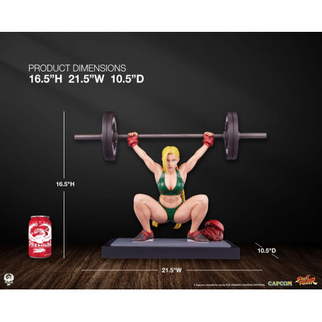 PCS - Street Fighter - Cammy: sollevamento pesi 1/4