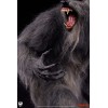 Premium Collectibles Studio PCS - THE HOWLING Serie Epica 1/3 - Howling