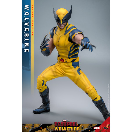 Hot Toys Marvel Deadpool e Wolverine - Wolverine MMS 1/6 Versione Deluxe