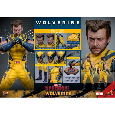 Hot Toys Marvel Deadpool e Wolverine - Wolverine MMS 1/6 Versione Deluxe