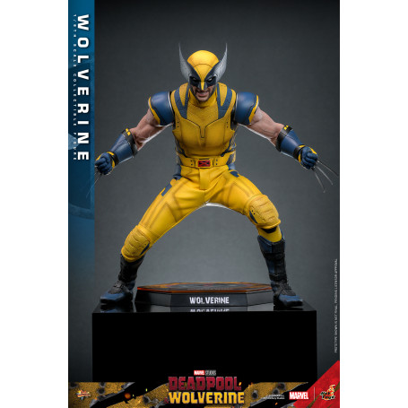 Hot Toys Marvel Deadpool e Wolverine - Wolverine MMS 1/6 Versione Deluxe