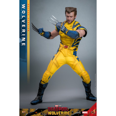 Hot Toys Marvel Deadpool e Wolverine - Wolverine MMS 1/6 Versione Deluxe