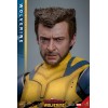 Hot Toys Marvel Deadpool e Wolverine - Wolverine MMS 1/6 Versione Deluxe