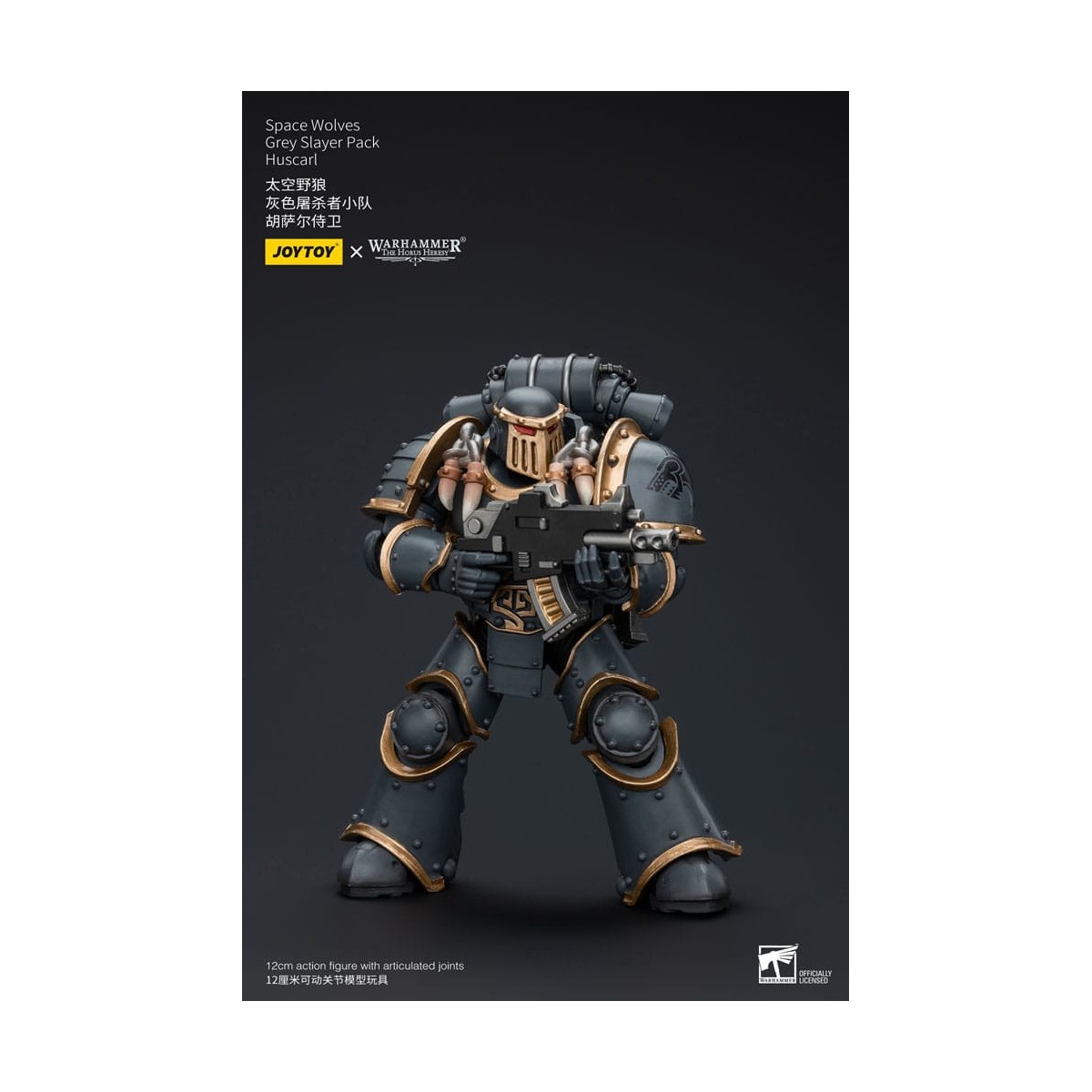 JoyToy Space Marine - Lupi Spaziali - Pacchetto Cacciatore Grigio - Huscarl 1/18 - L'Eresia di Horus