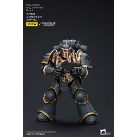 JoyToy Space Marine - Lupi Spaziali - Pacchetto Cacciatore Grigio - Huscarl 1/18 - L'Eresia di Horus
