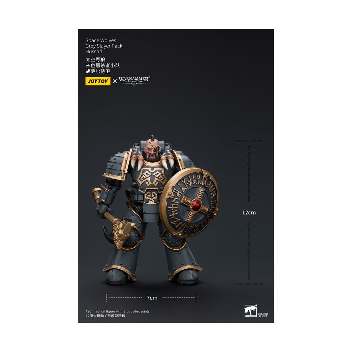 JoyToy Space Marine - Lupi Spaziali - Pacchetto Cacciatore Grigio - Huscarl 1/18 - L'Eresia di Horus