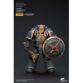 JoyToy Space Marine - Lupi Spaziali - Pacchetto Cacciatore Grigio - Cacciatore Grigio 1 1/18 - L'Eresia di Horus