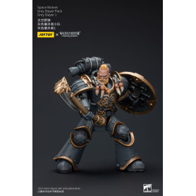 JoyToy Space Marine - Lupi Spaziali - Pacchetto Cacciatore Grigio - Cacciatore Grigio 1 1/18 - L'Eresia di Horus