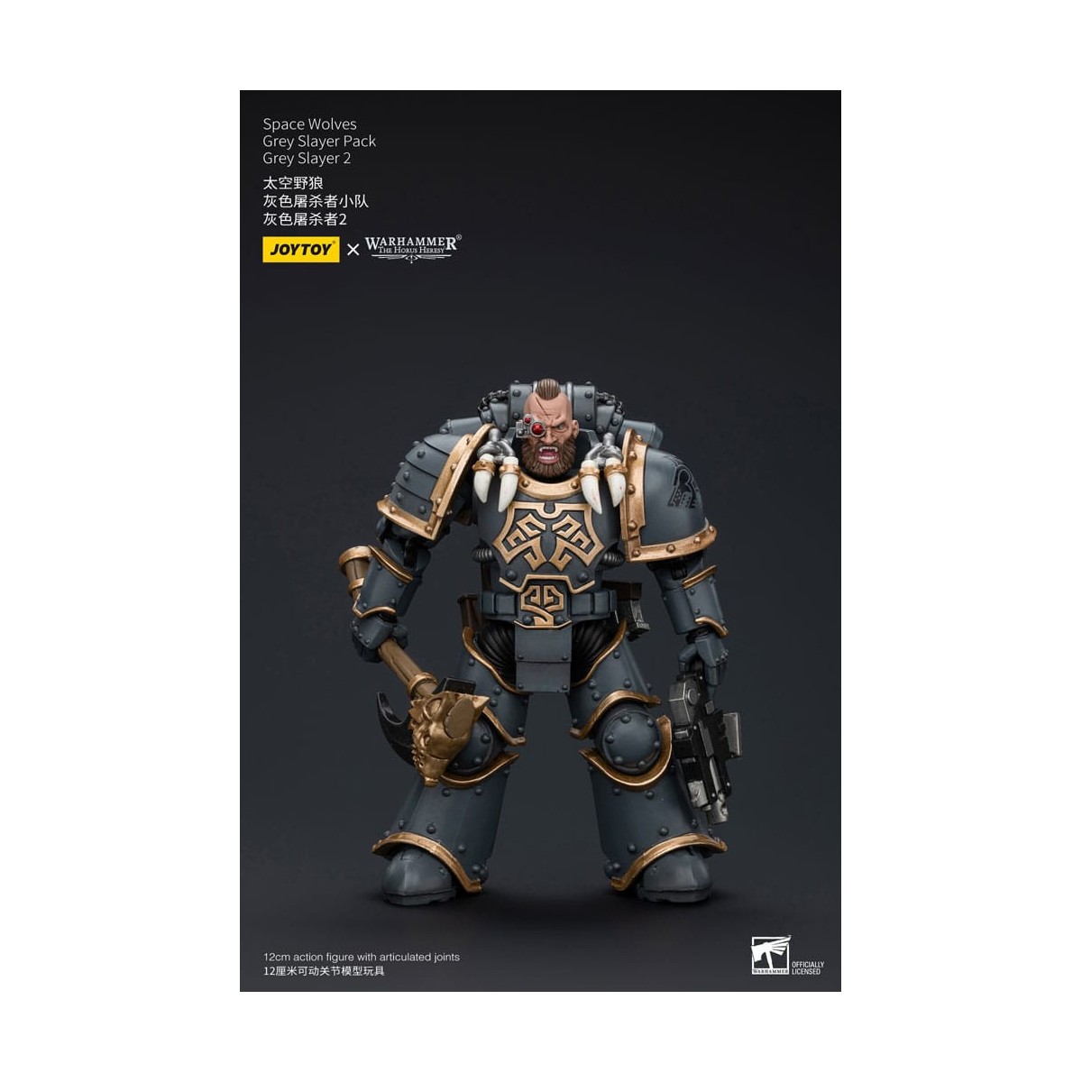 JoyToy Space Marine - Lupi Spaziali - Pacchetto Cacciatore Grigio - Cacciatore Grigio 2 1/18 - L'Eresia di Horus