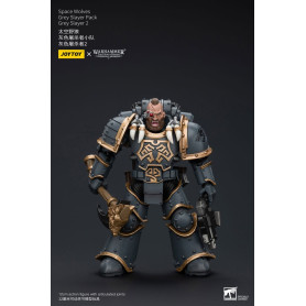 JoyToy Space Marine - Lupi Spaziali - Pacchetto Cacciatore Grigio - Cacciatore Grigio 2 1/18 - L'Eresia di Horus