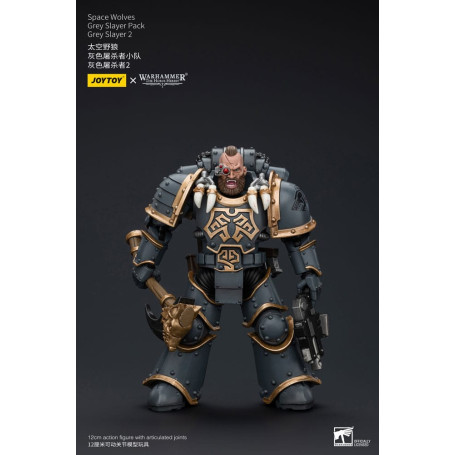 JoyToy Space Marine - Lupi Spaziali - Pacchetto Cacciatore Grigio - Cacciatore Grigio 2 1/18 - L'Eresia di Horus