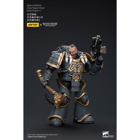JoyToy Space Marine - Lupi Spaziali - Pacchetto Cacciatore Grigio - Cacciatore Grigio 2 1/18 - L'Eresia di Horus