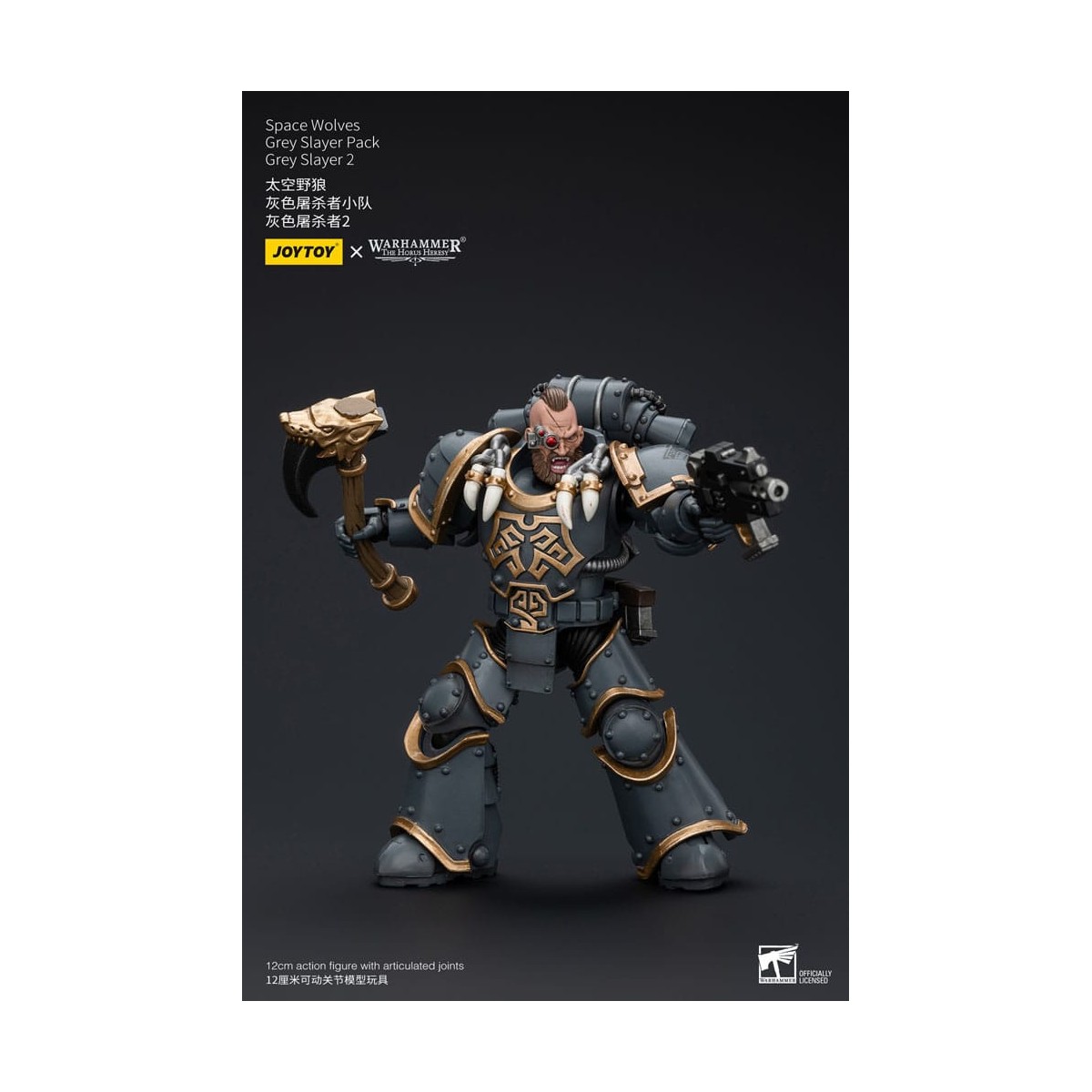 JoyToy Space Marine - Lupi Spaziali - Pacchetto Cacciatore Grigio - Cacciatore Grigio 2 1/18 - L'Eresia di Horus