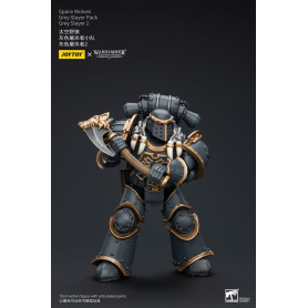 JoyToy Space Marine - Lupi Spaziali - Pacchetto Cacciatore Grigio - Cacciatore Grigio 2 1/18 - L'Eresia di Horus
