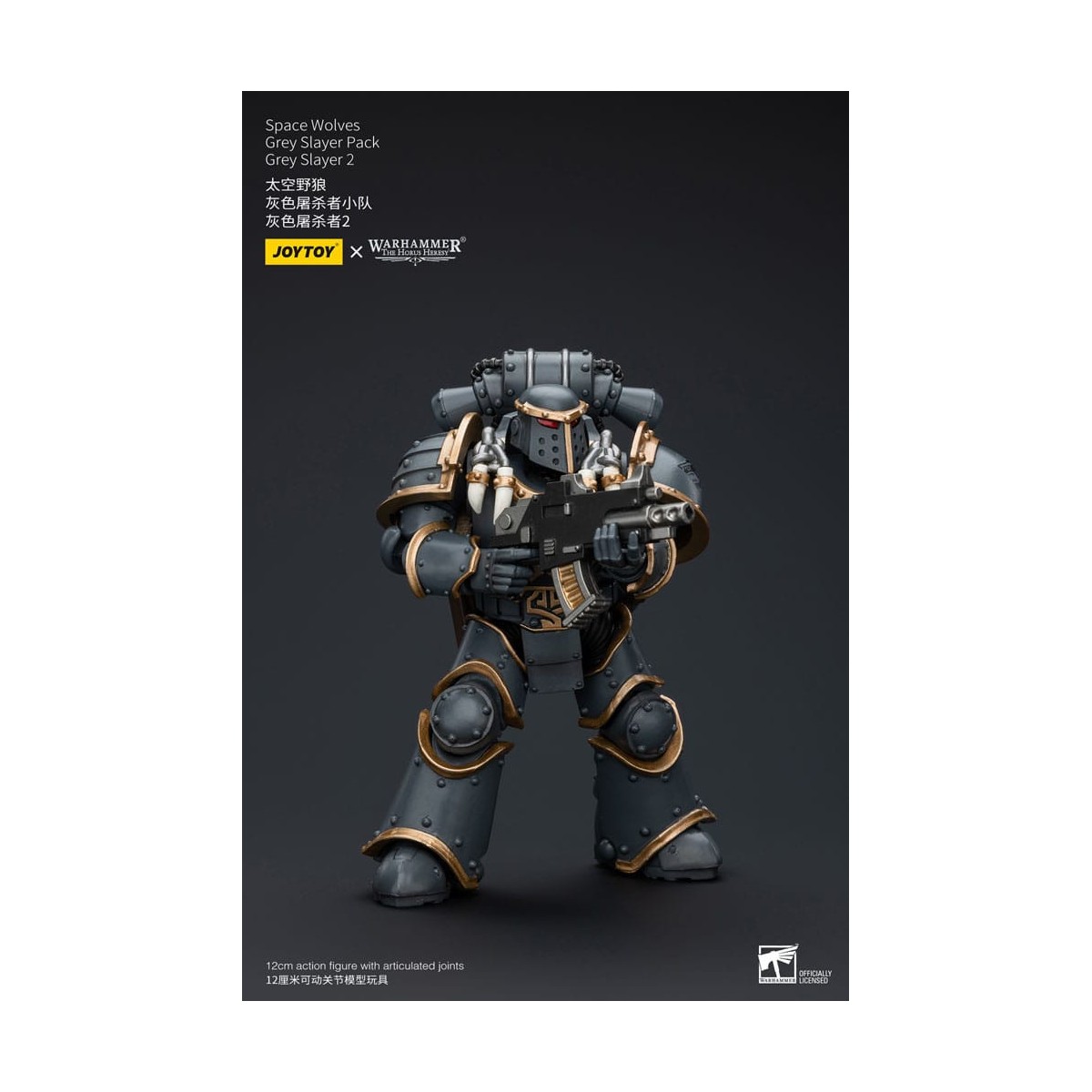 JoyToy Space Marine - Lupi Spaziali - Pacchetto Cacciatore Grigio - Cacciatore Grigio 2 1/18 - L'Eresia di Horus