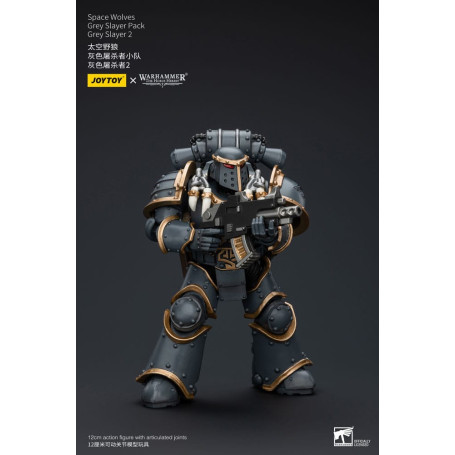 JoyToy Space Marine - Lupi Spaziali - Pacchetto Cacciatore Grigio - Cacciatore Grigio 2 1/18 - L'Eresia di Horus