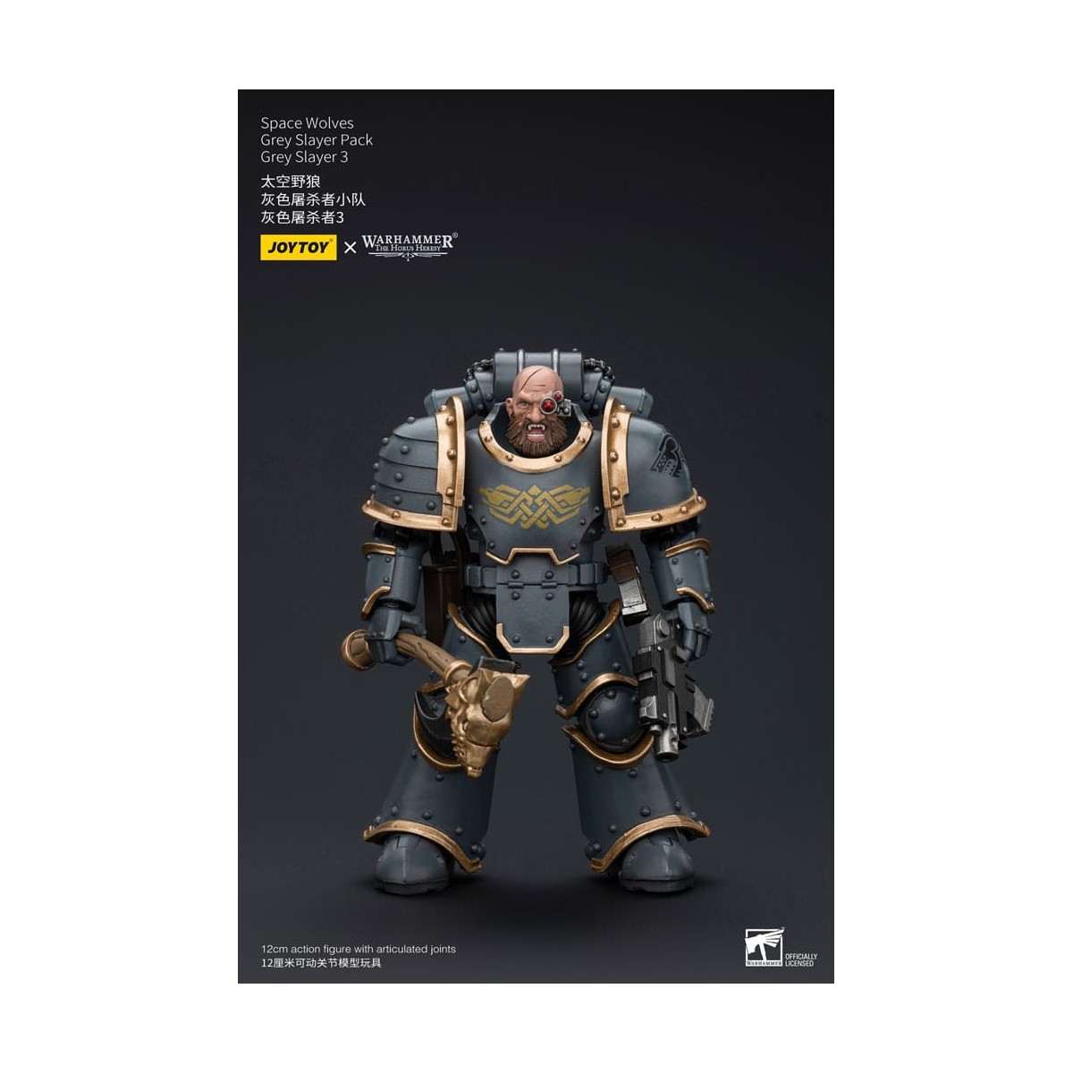 JoyToy Space Marine - Lupi Spaziali - Pacchetto Cacciatore Grigio - Cacciatore Grigio 3 1/18 - L'Eresia di Horus