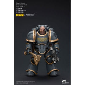 JoyToy Space Marine - Lupi Spaziali - Pacchetto Cacciatore Grigio - Cacciatore Grigio 3 1/18 - L'Eresia di Horus