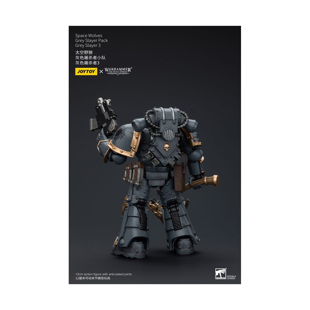 JoyToy Space Marine - Lupi Spaziali - Pacchetto Cacciatore Grigio - Cacciatore Grigio 3 1/18 - L'Eresia di Horus