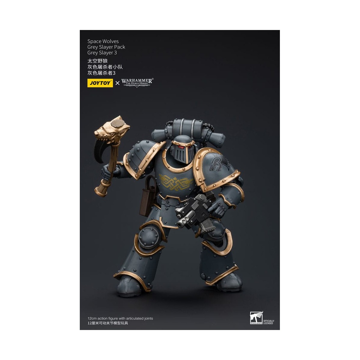 JoyToy Space Marine - Lupi Spaziali - Pacchetto Cacciatore Grigio - Cacciatore Grigio 3 1/18 - L'Eresia di Horus