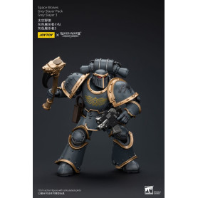 JoyToy Space Marine - Lupi Spaziali - Pacchetto Cacciatore Grigio - Cacciatore Grigio 3 1/18 - L'Eresia di Horus