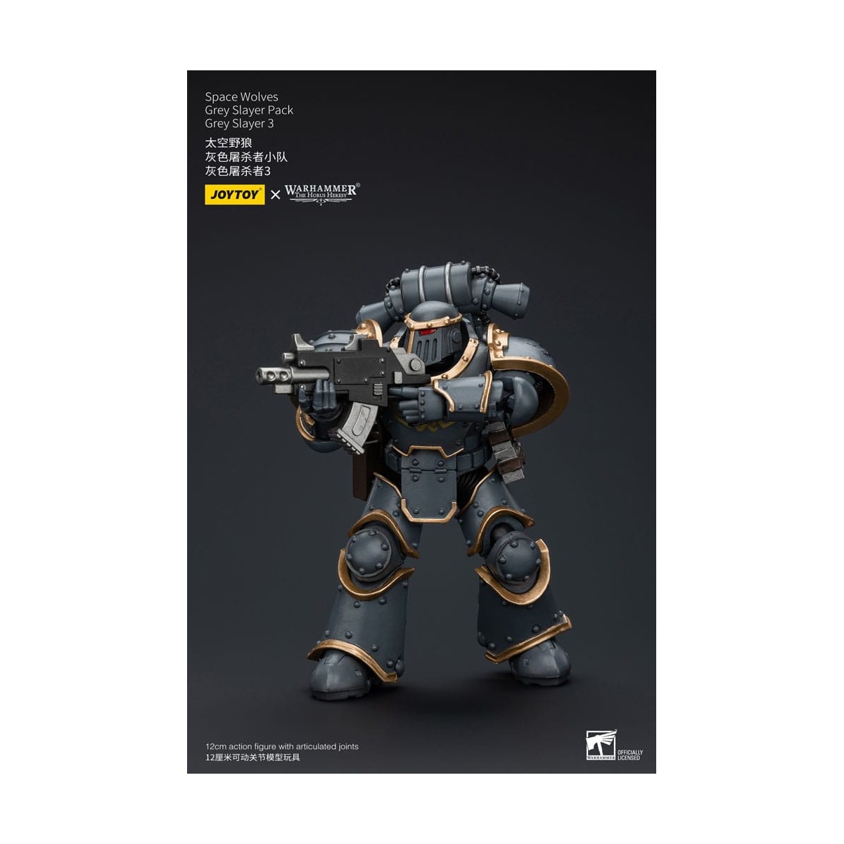 JoyToy Space Marine - Lupi Spaziali - Pacchetto Cacciatore Grigio - Cacciatore Grigio 3 1/18 - L'Eresia di Horus