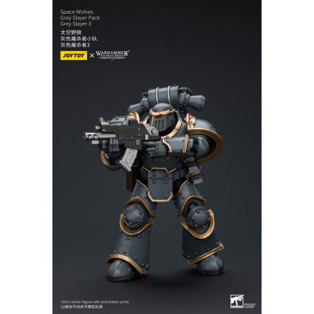 JoyToy Space Marine - Lupi Spaziali - Pacchetto Cacciatore Grigio - Cacciatore Grigio 3 1/18 - L'Eresia di Horus