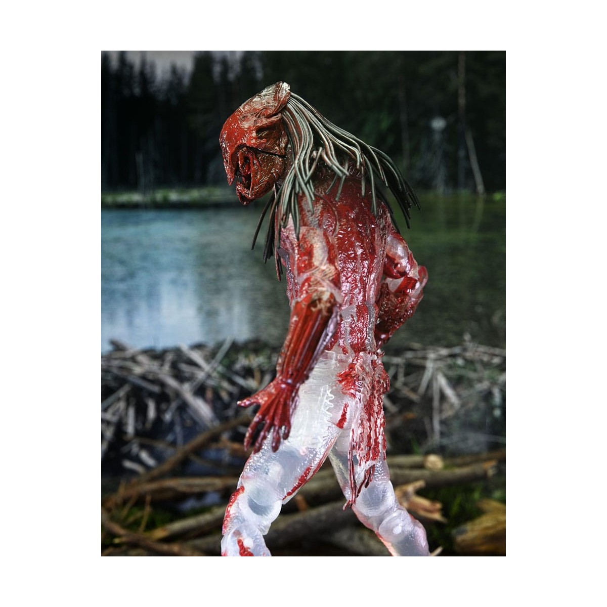 Neca Predator - Predatore di sangue di orso selvatico definitivo - Preda