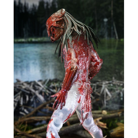 Neca Predator - Predatore di sangue di orso selvatico definitivo - Preda