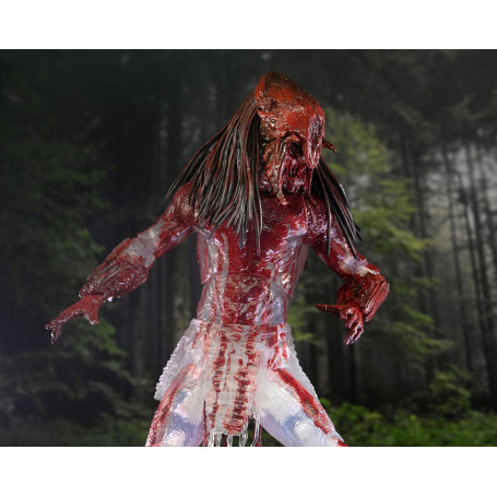 Neca Predator - Predatore di sangue di orso selvatico definitivo - Preda