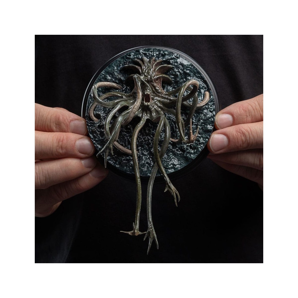 Weta - Osservatore nell'acqua - Il Signore degli Anelli - LOTR