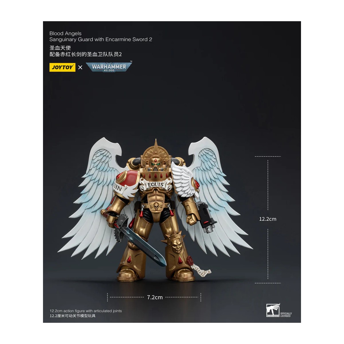 JoyToy Space Marine - Guardia Sanguinaria degli Angeli del Sangue - Guardia Sanguinaria con Spada di Potere 1/18