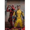 Hot Toys Marvel Deadpool & Wolverine - Deadpool Edizione da Collezione MMS 1/6 