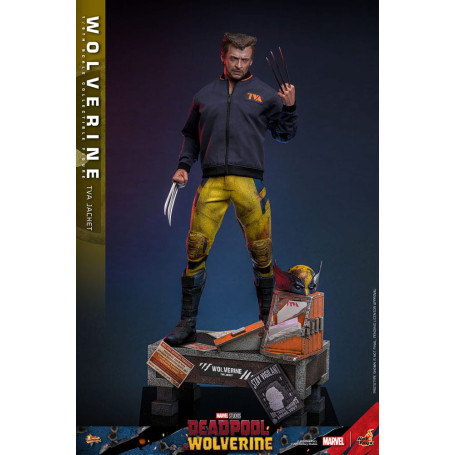 Hot Toys Marvel Deadpool & Wolverine - Wolverine Giacca TVA Versione MMS 1/6