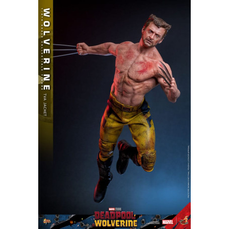 Hot Toys Marvel Deadpool & Wolverine - Wolverine Giacca TVA Versione MMS 1/6